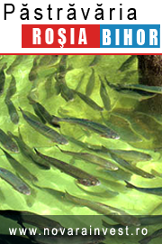 Pastravarie Rosia Bihor!
