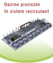 Bazine piscicole in sistem recirculant!