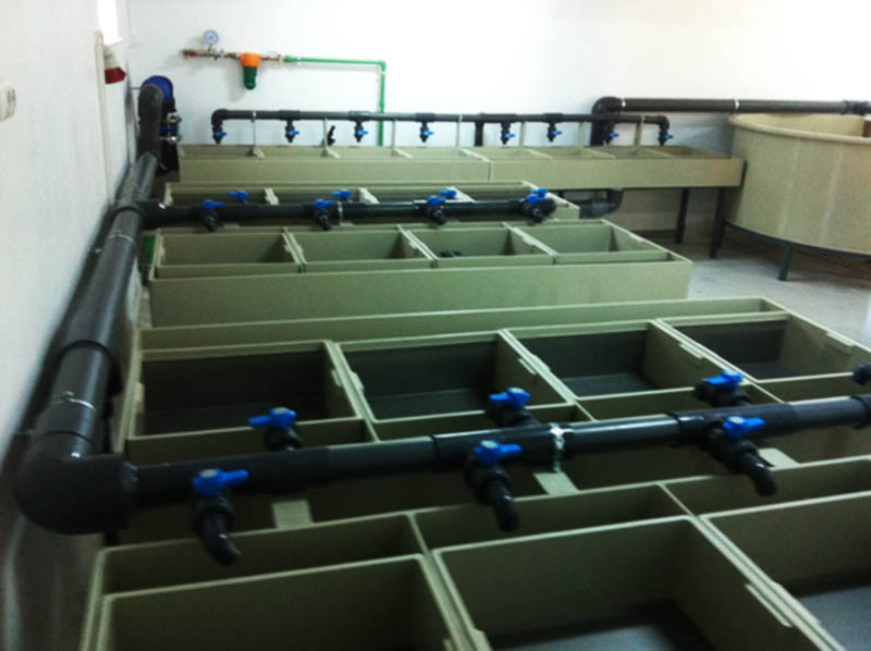 Incubatoare pentru alevinii si puietii de pastrav