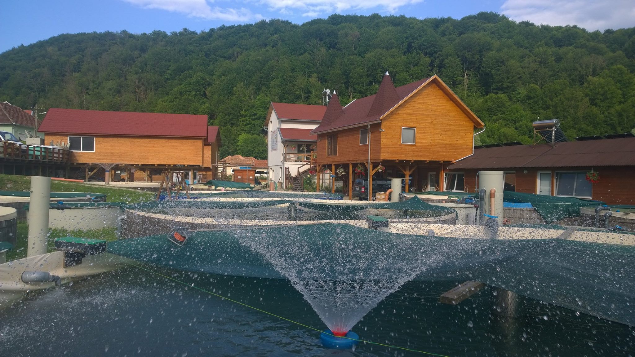 Aerator apă SWA - tip Ciuperca 220V-380V - imagine 5