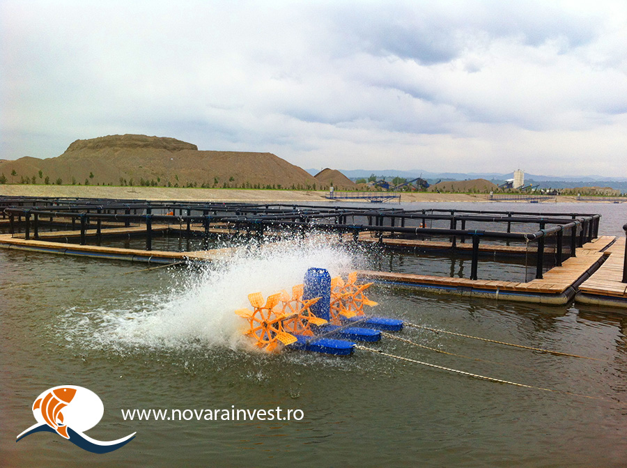 Aerator apa cu 4 pedale in functionare