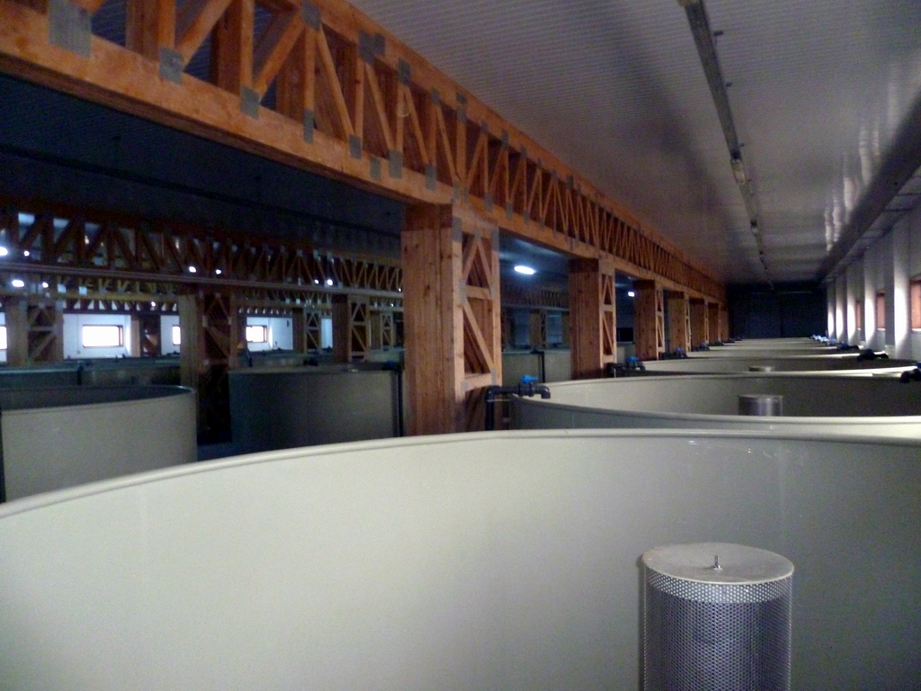 Sisteme de recirculare - imagine 5