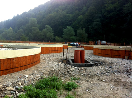 Servicii infiintare ferme pisicole