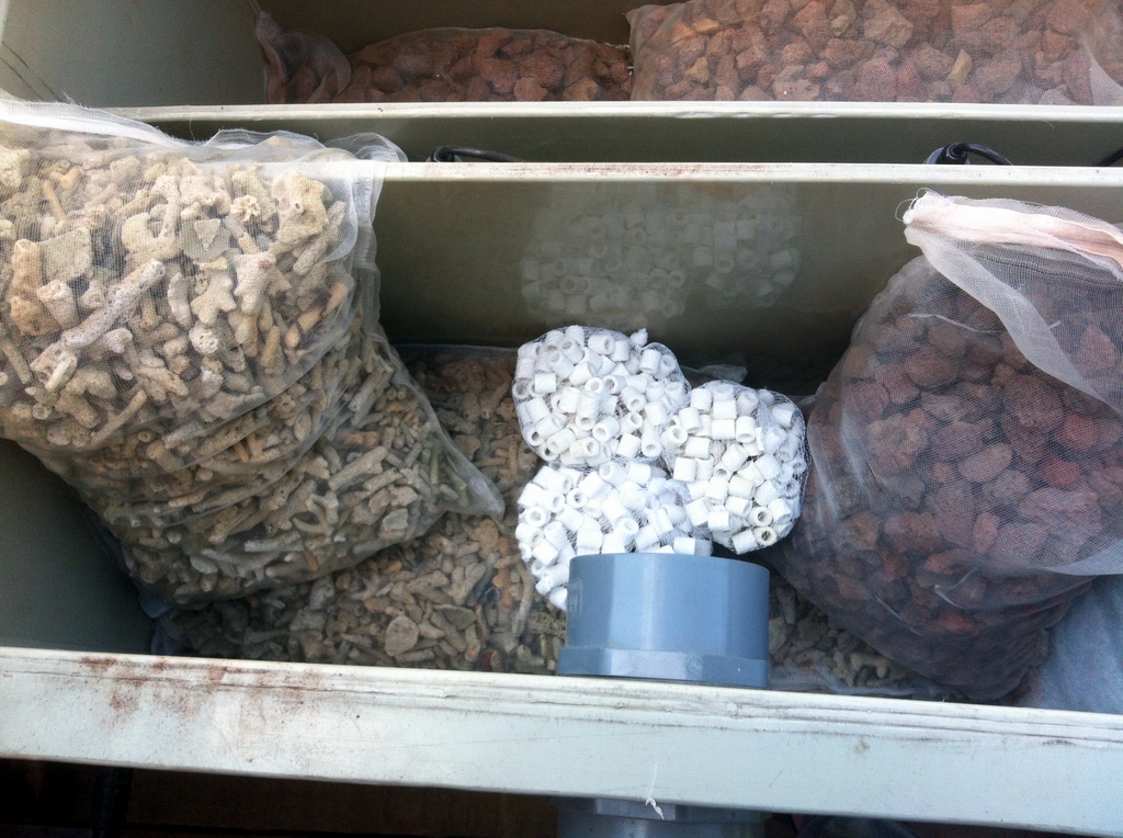 Filtre biologice pentru iazuri