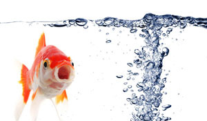 Oxigenarea aerarea apei pentru piscicultura