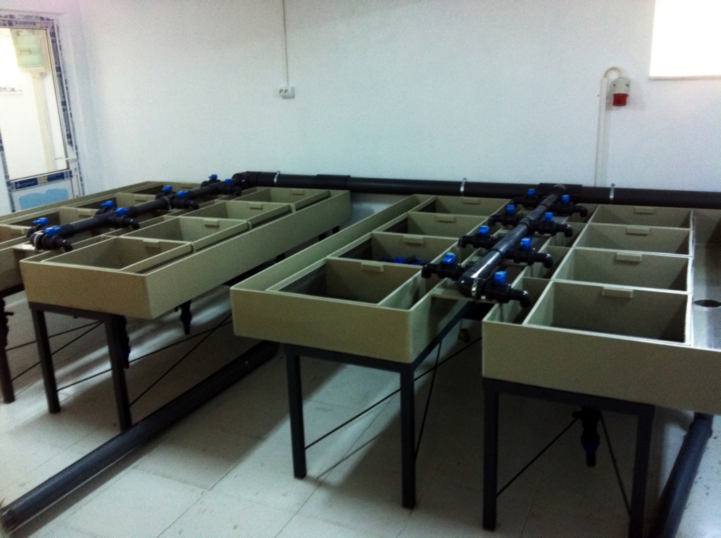 Sistem de reproduce cu incubatie